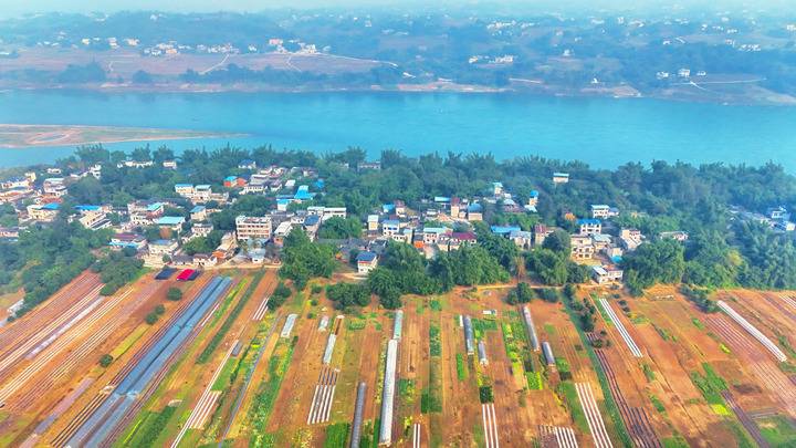 四川泸州合江长江村：昔日“吃江”今护江